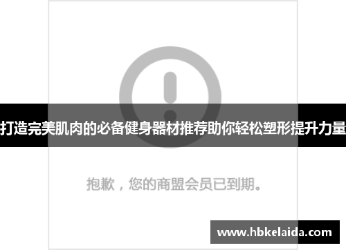 打造完美肌肉的必备健身器材推荐助你轻松塑形提升力量