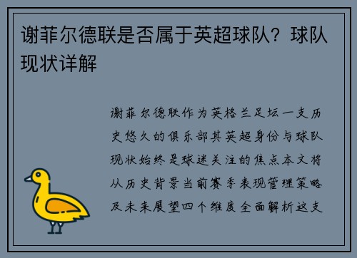 谢菲尔德联是否属于英超球队？球队现状详解