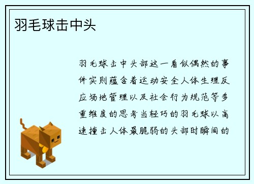 羽毛球击中头